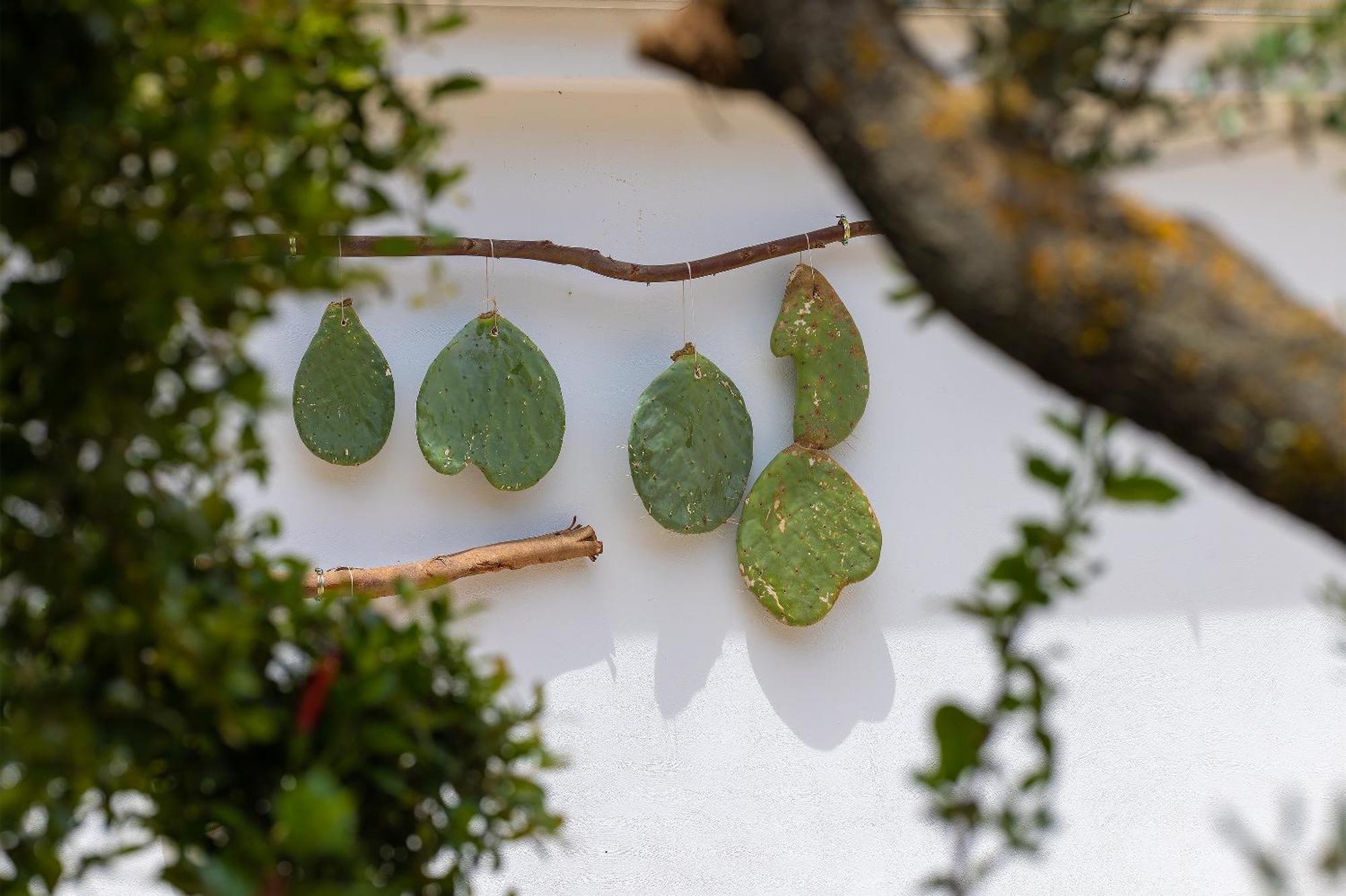 Hotel Masseria Fontanelle Ugento Exterior photo
